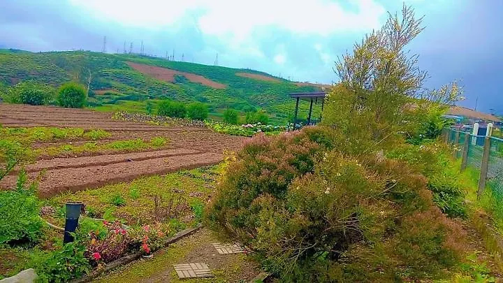 Cozy Cabins Nuwara Eliya